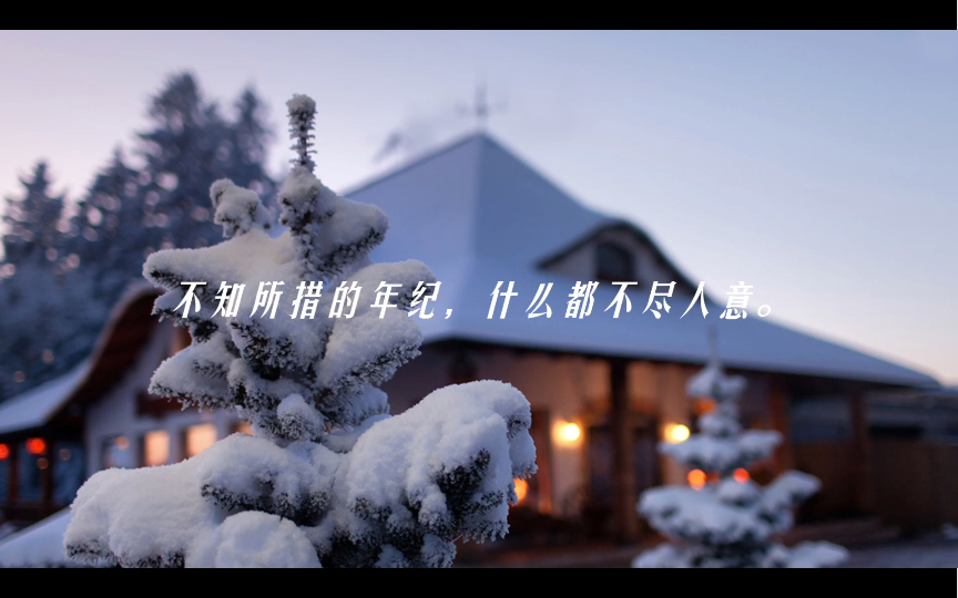 不知所措的年纪,什么都不尽人意.