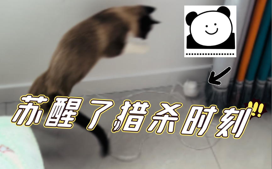 猎杀时刻