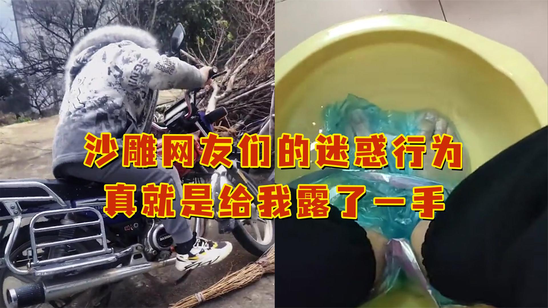 沙雕網友們的迷惑行為,真就是給我露了一手啊!