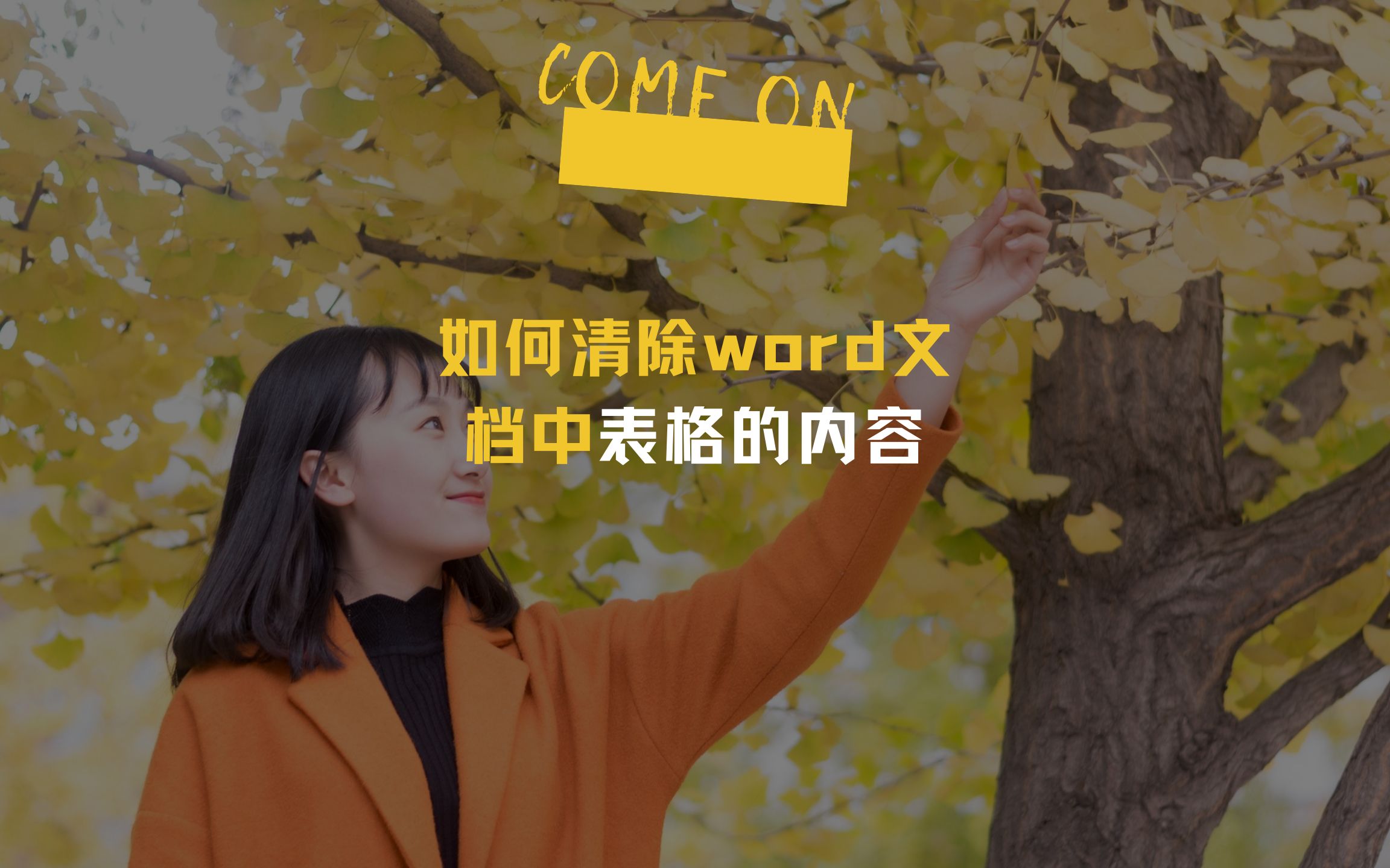 如何清除word文档中表格的内容哔哩哔哩bilibili