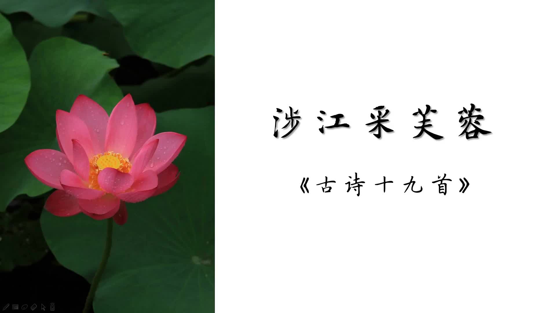 【战疫有我线上课程】人教版高中语文必修二:涉江采芙蓉-成都树德中学