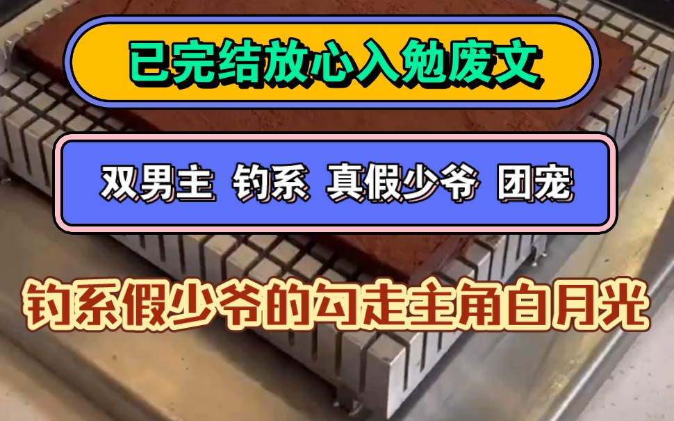 [图]【原耽推文】《勾走月光》双男主 钓系 真假少爷 穿书 团宠 |钓系假少爷的勾走主角白月光