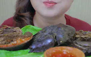 Download Video: 脆脆软软的马蹄蟹籽EATING HORSESHOE CRAB (EXOTIC FOOD) SOFT CRUNCHY