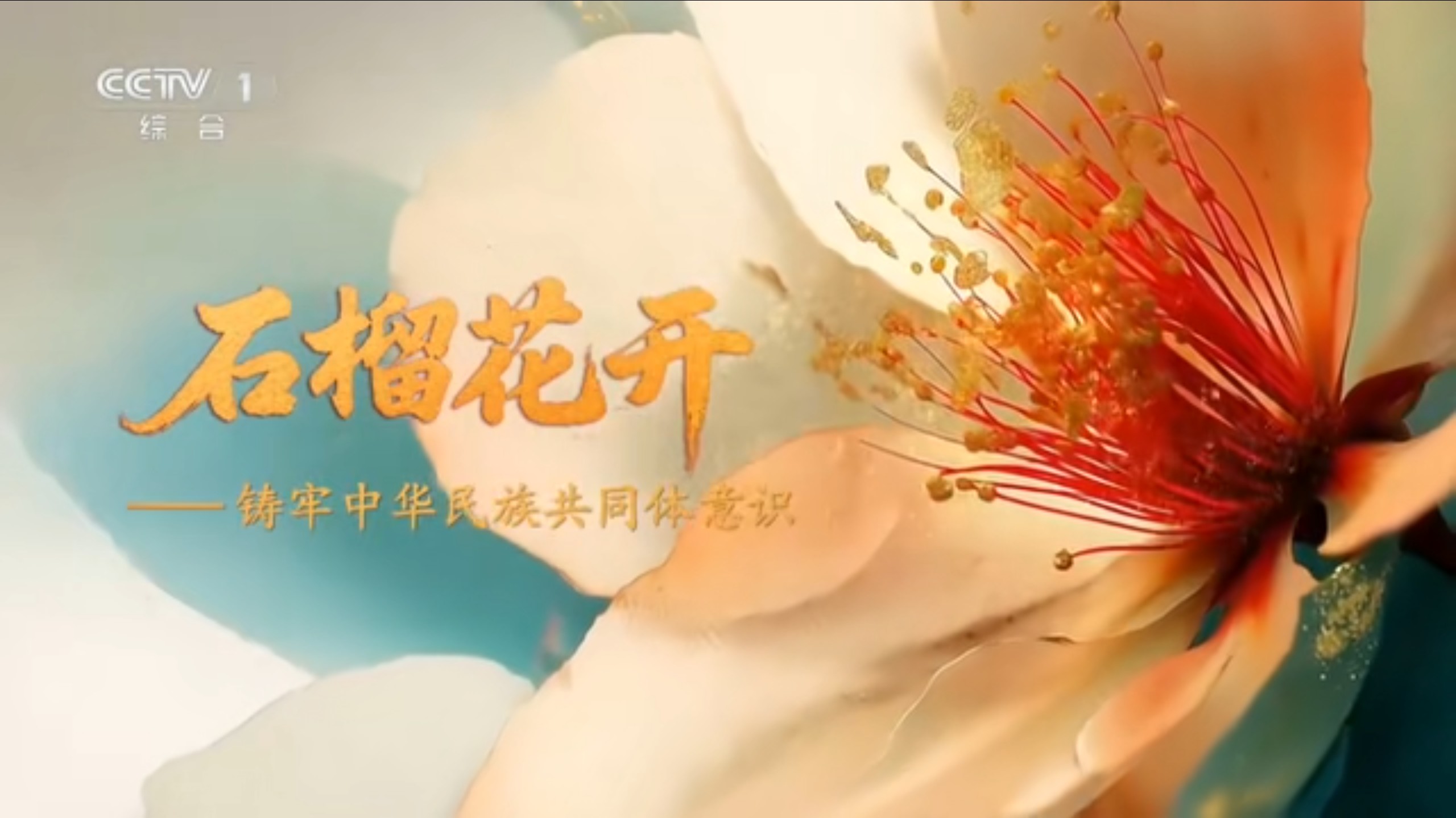 石榴花开——铸牢中华民族共同体意识：第六集 共同铸牢