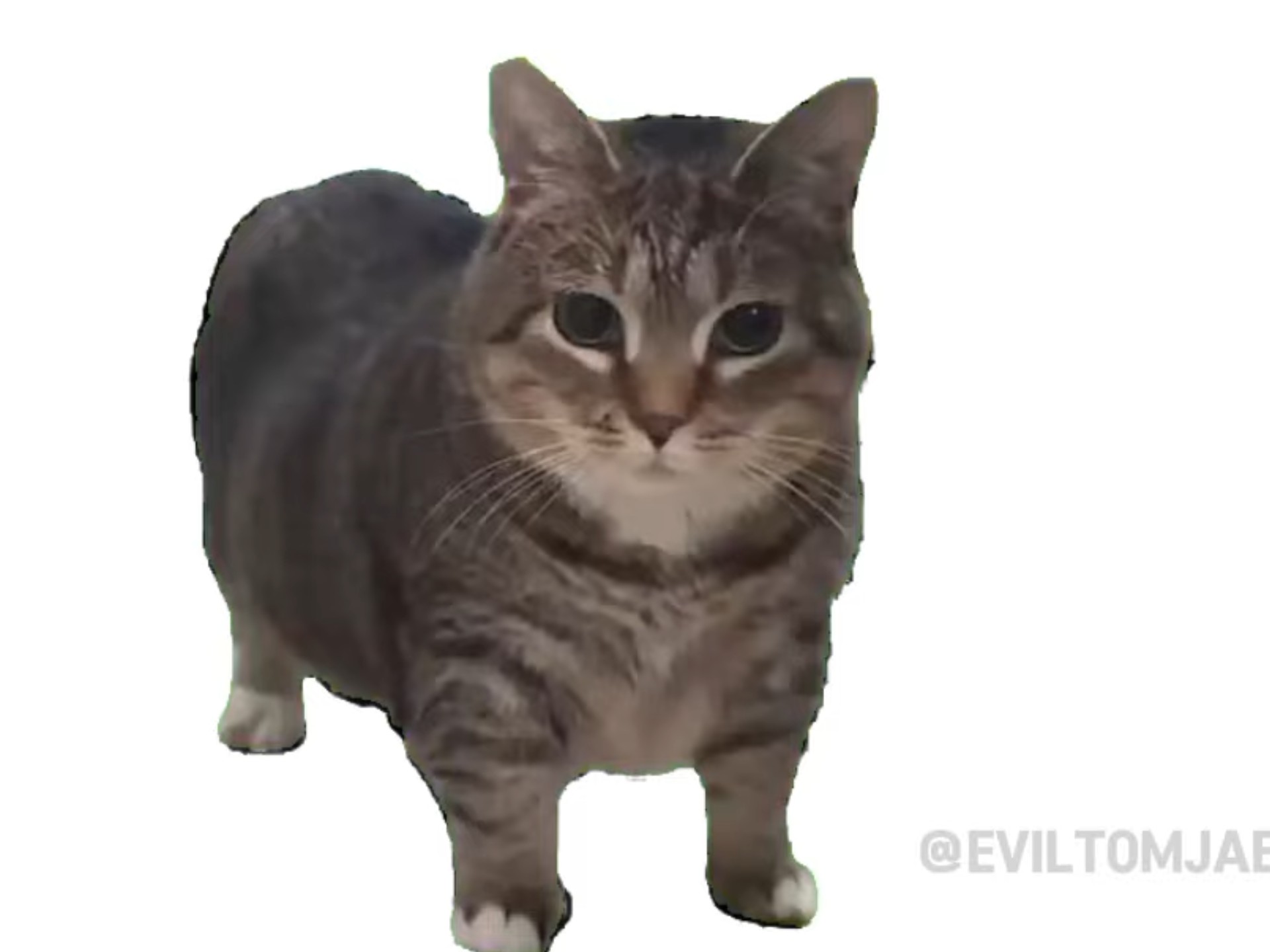ciliba磁力猫_ciliss搜刮
引擎（磁力猫蓝奏云博客园）
