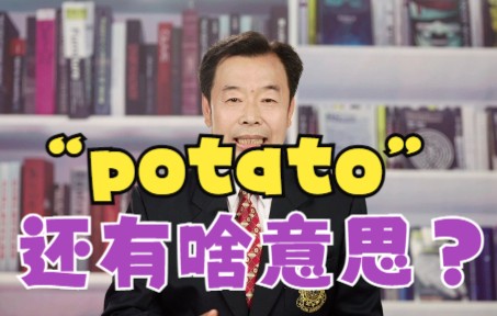 potato 除了土豆,你还知道其他的意思吗?哔哩哔哩bilibili