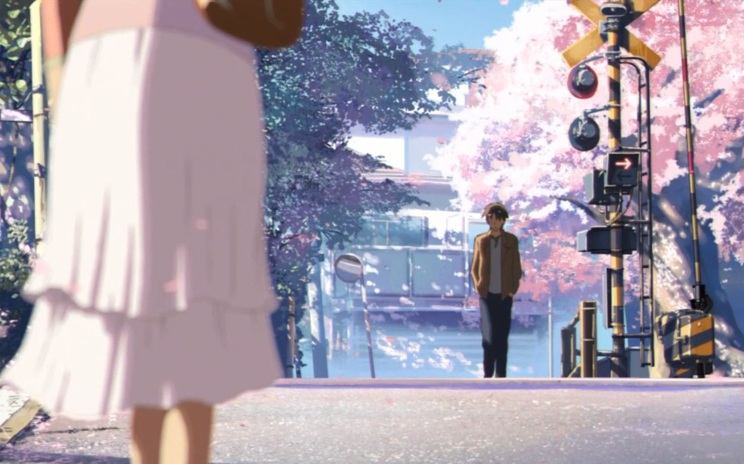 活动作品秒速五厘米樱花花瓣飘落的速度秒速是五厘米