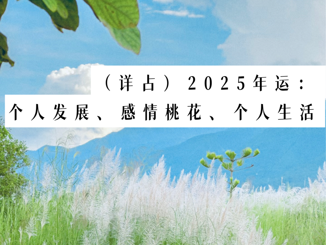 (详占)预测你的2025年运:个人发展、感情桃花、注意事项 timeless哔哩哔哩bilibili