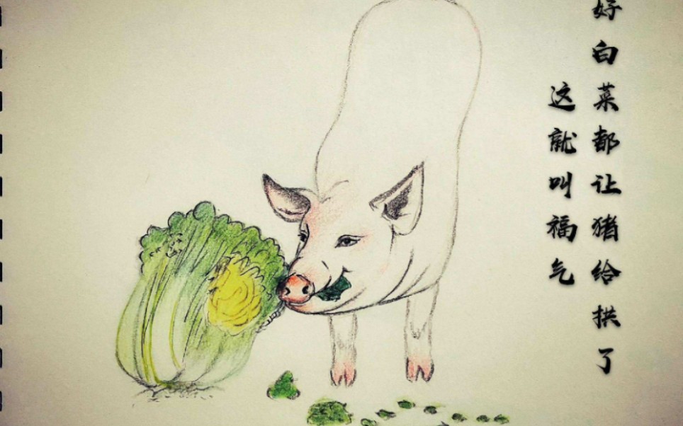 猪拱白菜可爱图片高清图片