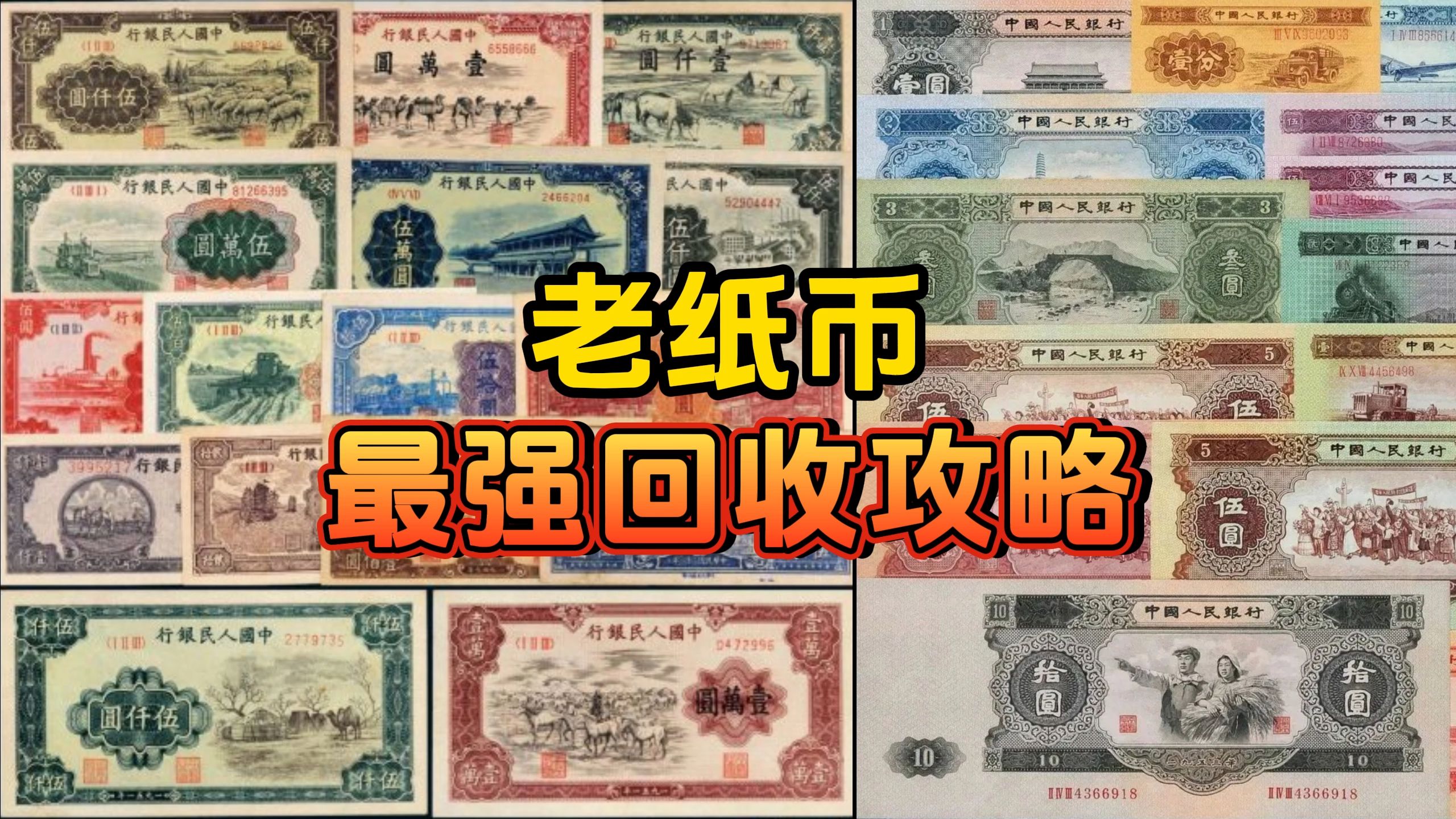 回收老钱币,最强攻略!