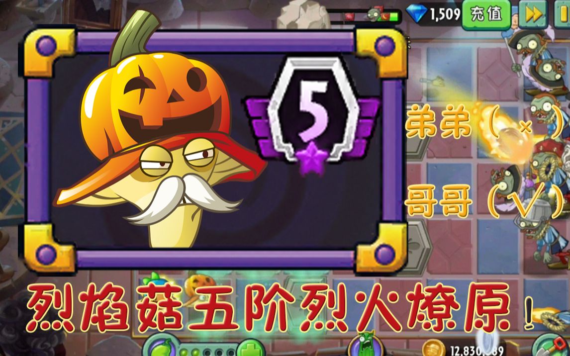 煮钰烈焰菇五阶评测反正比他兄弟的五阶要好