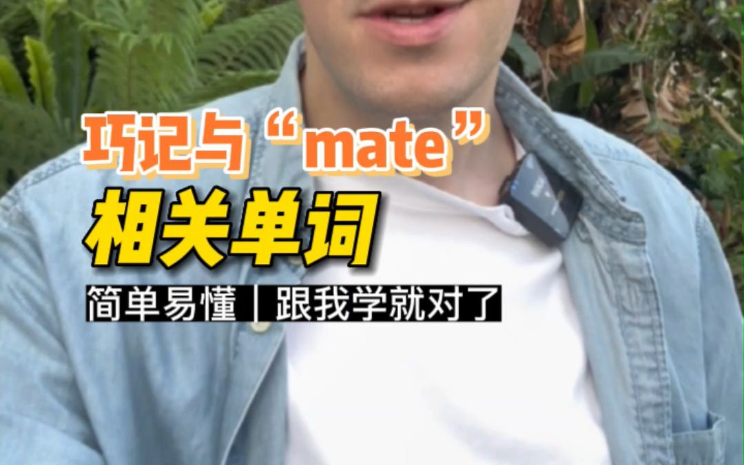 巧记与mate(伙伴)相关单词,建议收藏.哔哩哔哩bilibili