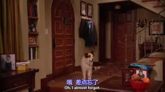 Download Video: 【狗狗日记】 转载  第一季 dog with a blog