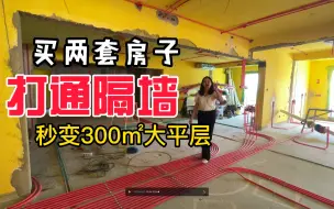 Download Video: 我买了两套房子把隔墙打通变成300平大平层