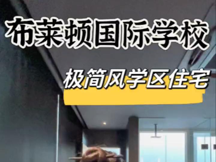 布莱顿国际学校|极简风学区住宅