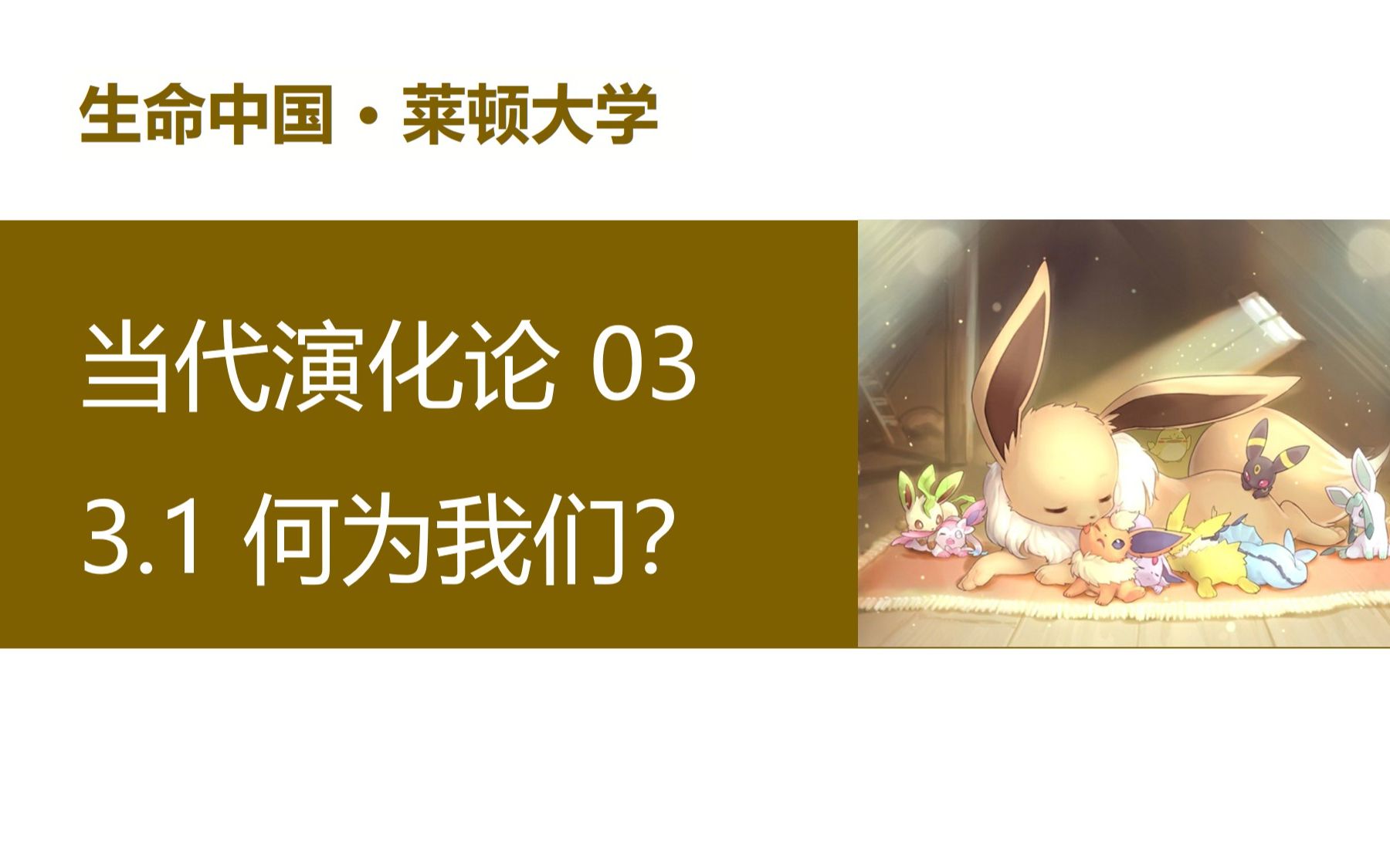 【演化生物学】当代演化论 3.1  何为我们?哔哩哔哩bilibili