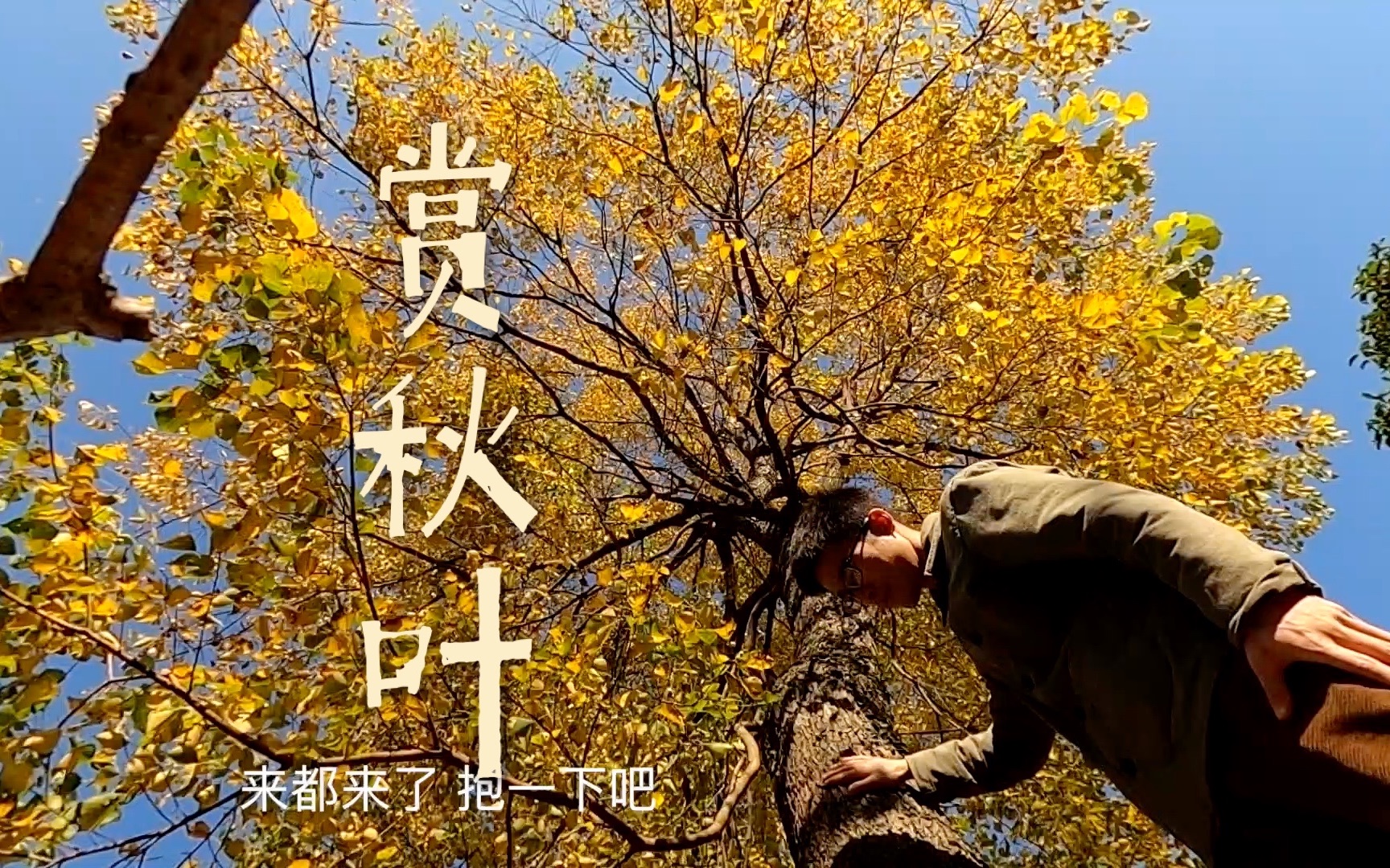 农场日记EP46 【乌桕可以有多美】哔哩哔哩bilibili