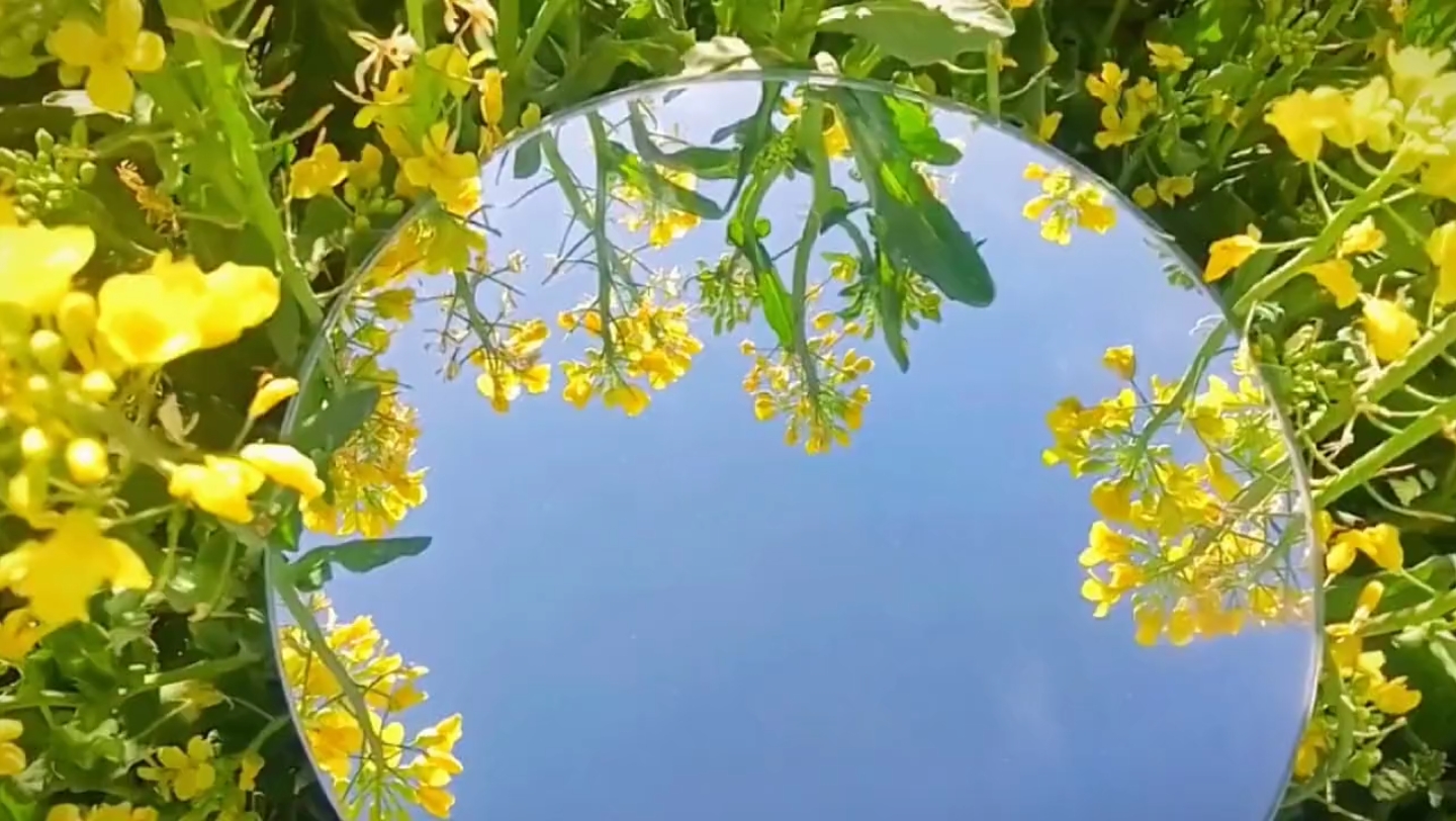 镜子里的春天.