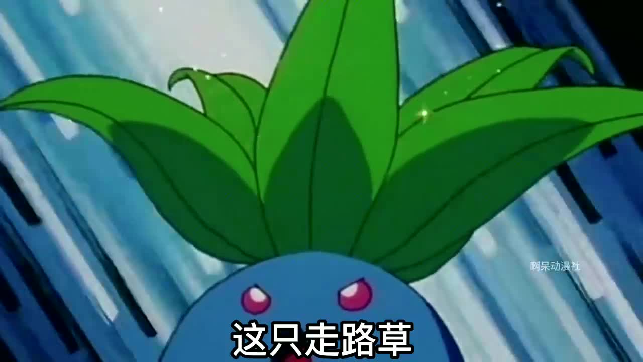 宝可梦:你敢信?走路草不仅会草系最强绝招阳光烈焰,还能一挑三