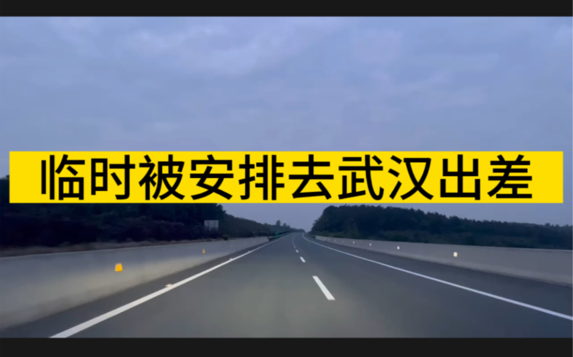 被安排去武汉出差了网络游戏热门视频