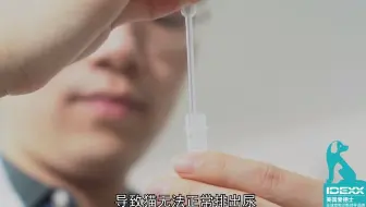 SDMA系列小故事（二）-慢性肾病，中老年犬猫之沉默杀手_哔哩哔哩_bilibili