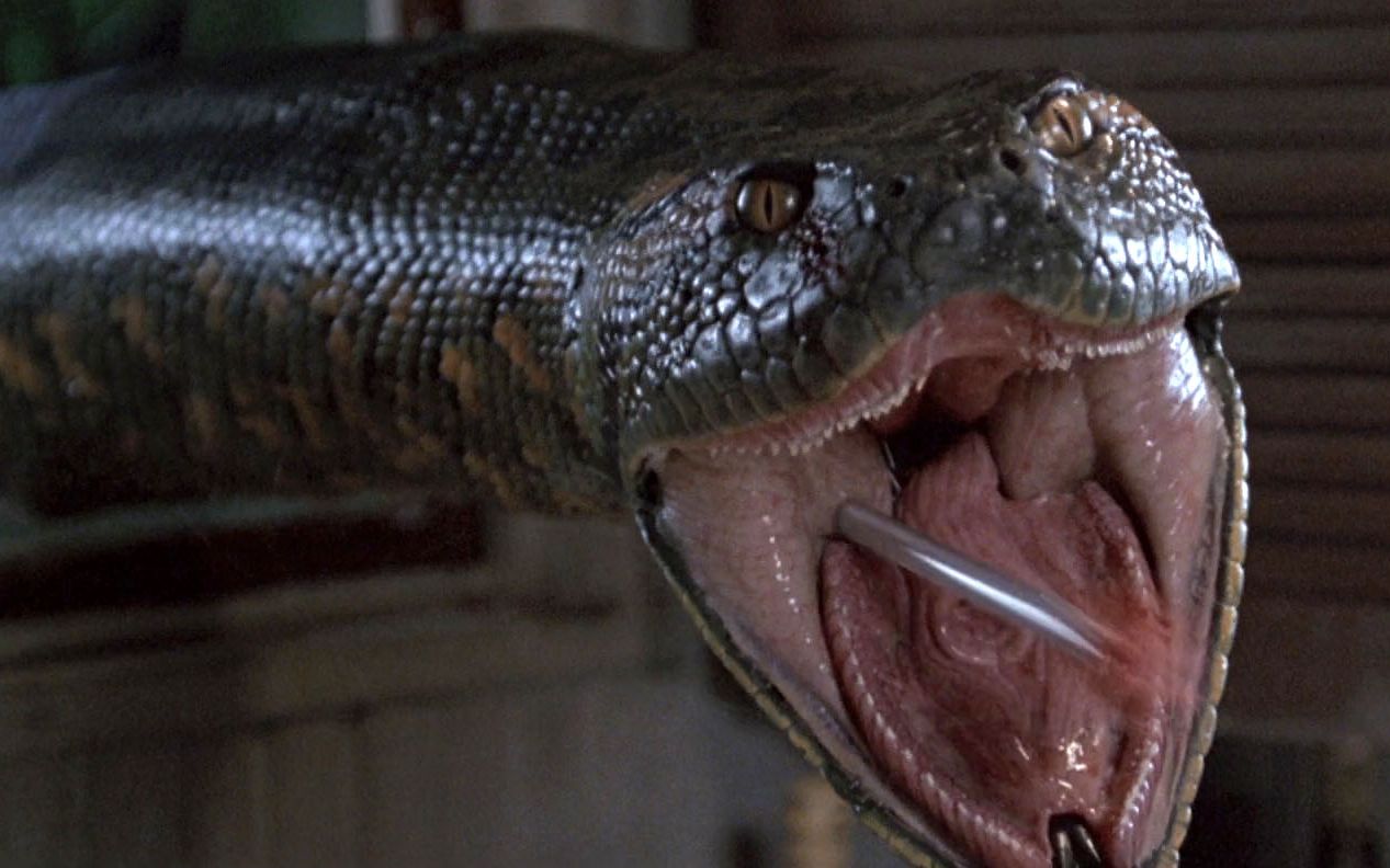 蟒蛇电影巨蟒图片