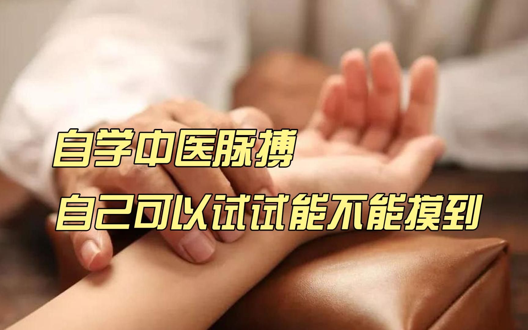 中医脉搏,一分钟学会哔哩哔哩bilibili