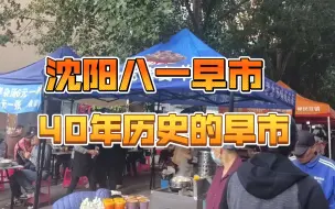 Download Video: 沈阳八一早市来逛的人只有更多没有最多