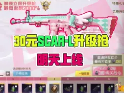 Télécharger la video: scar升级枪只要30元？光子良心了！