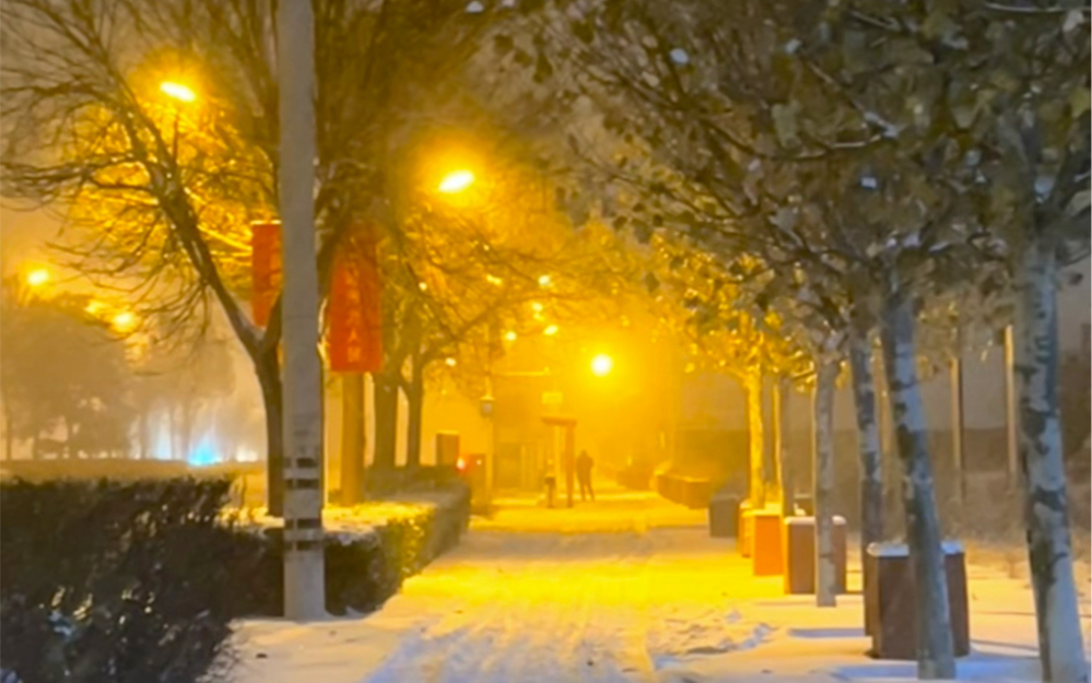 伤感下雪夜晚灯光图片图片