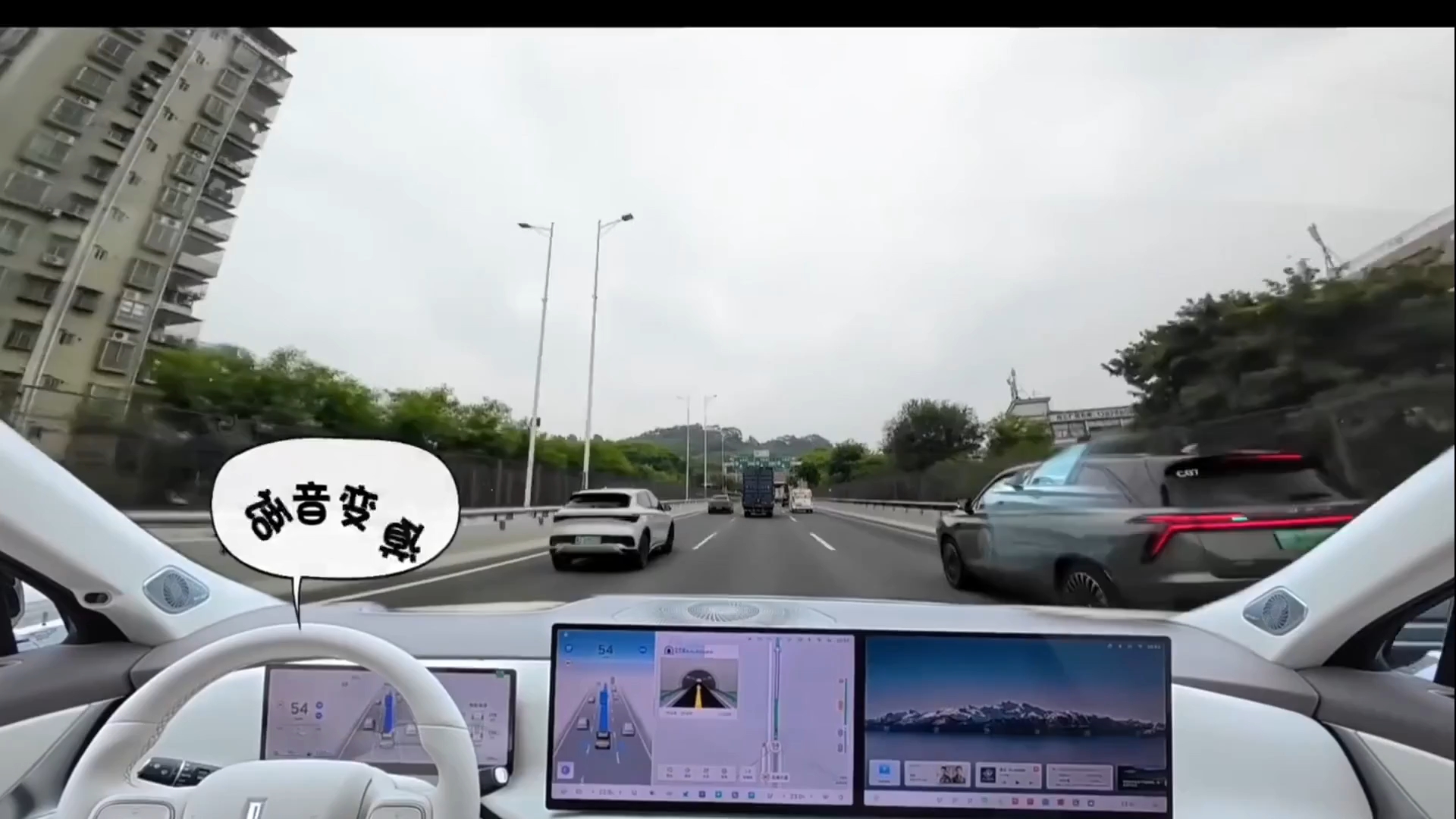 高速上开智驾睡着30秒，网友拍下全程：运气好没出事