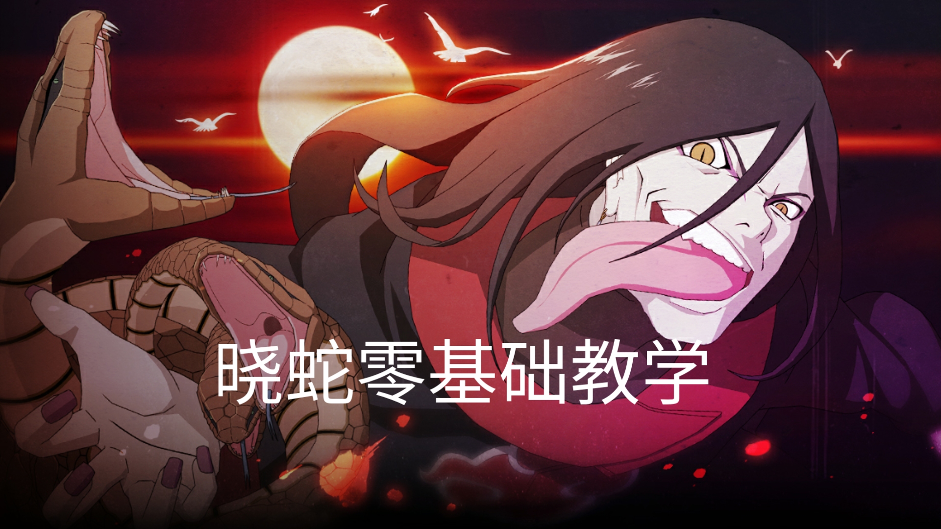 晓蛇零基础教学