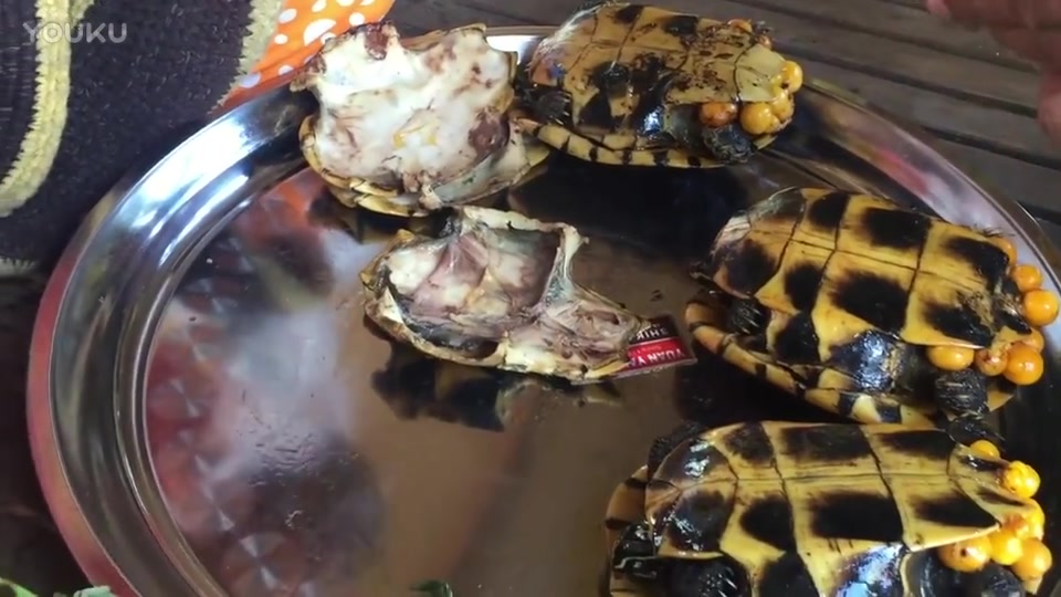 【街头美食】厉害了 街头美食小吃"烤海龟"!