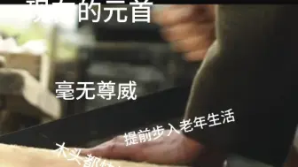 Descargar video: 以前的元首 VS 现在的元首