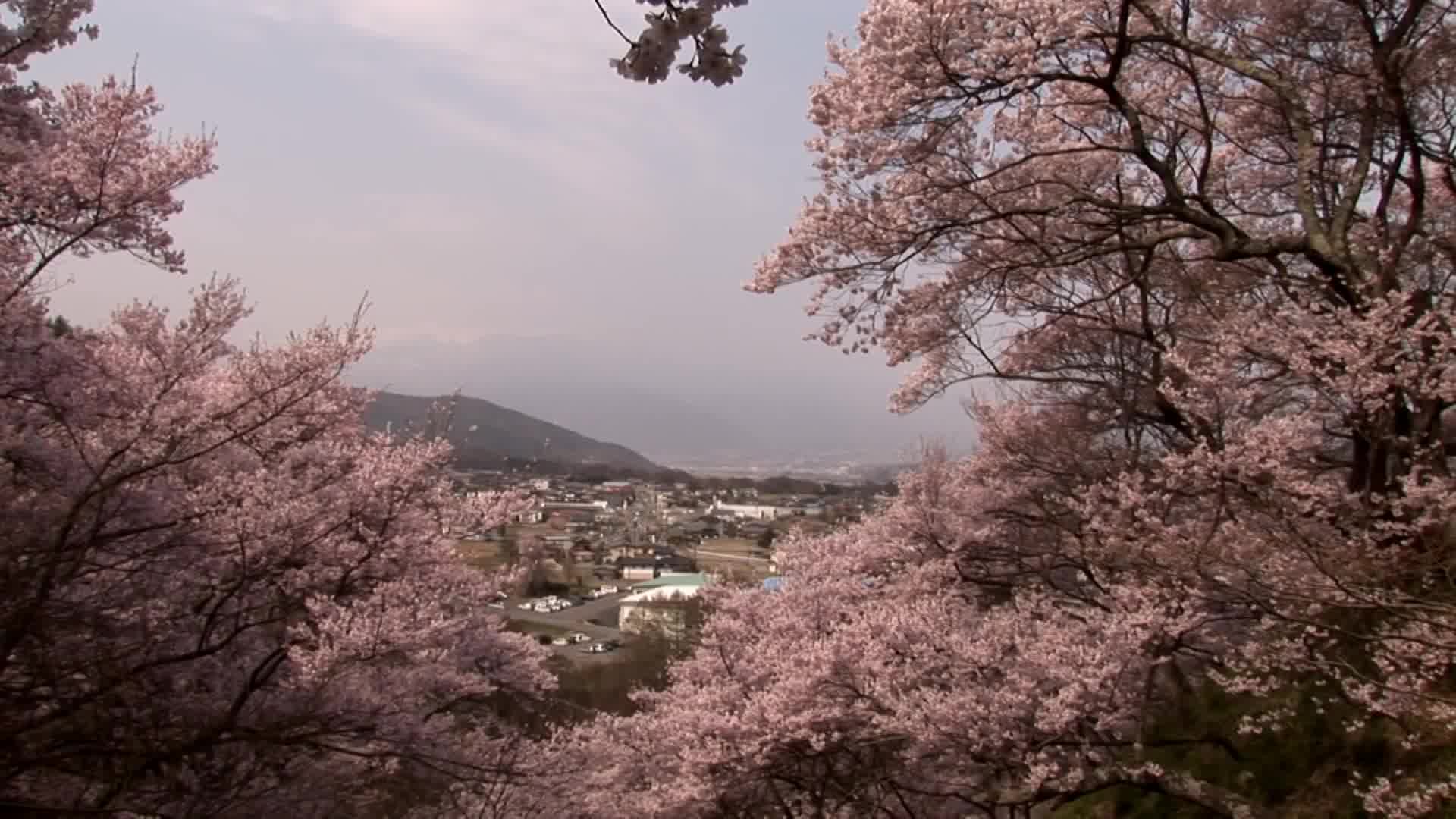 [图]【此花亭奇谭取景地】长野高远城