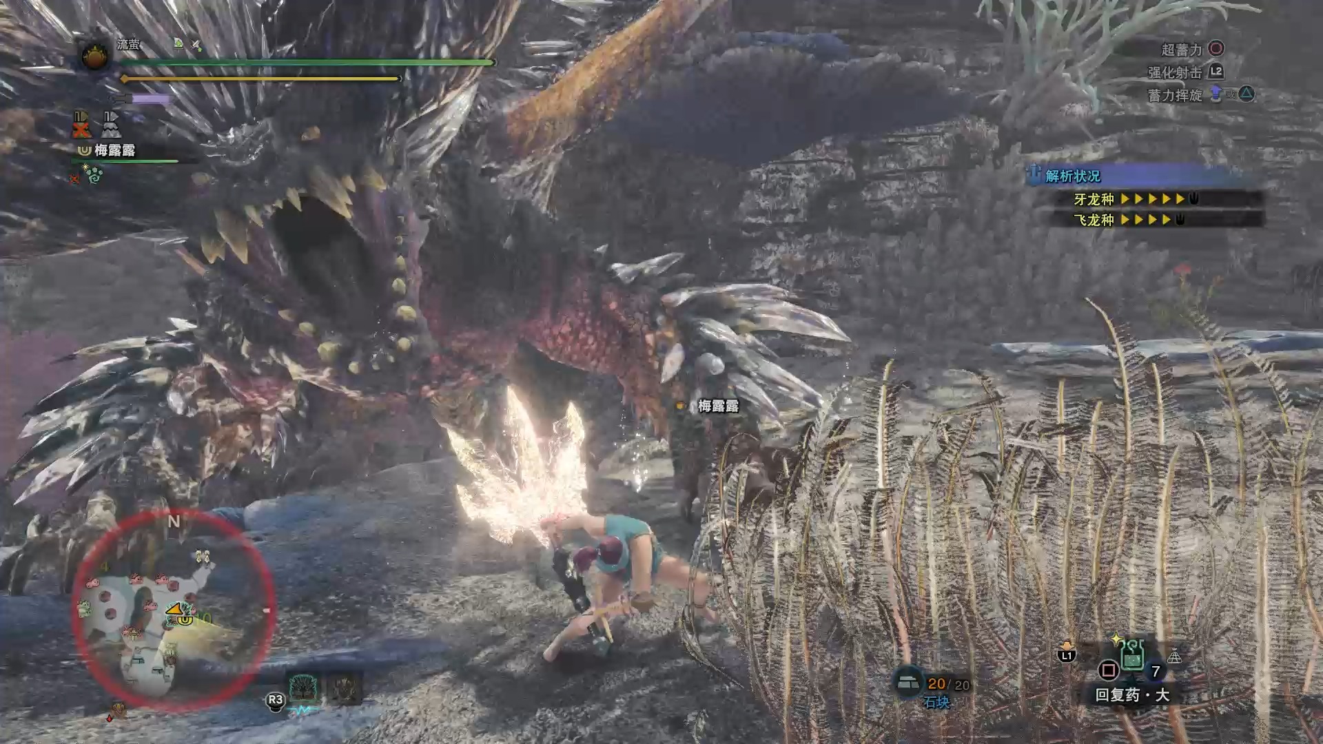 238 灭尽龙 大锤