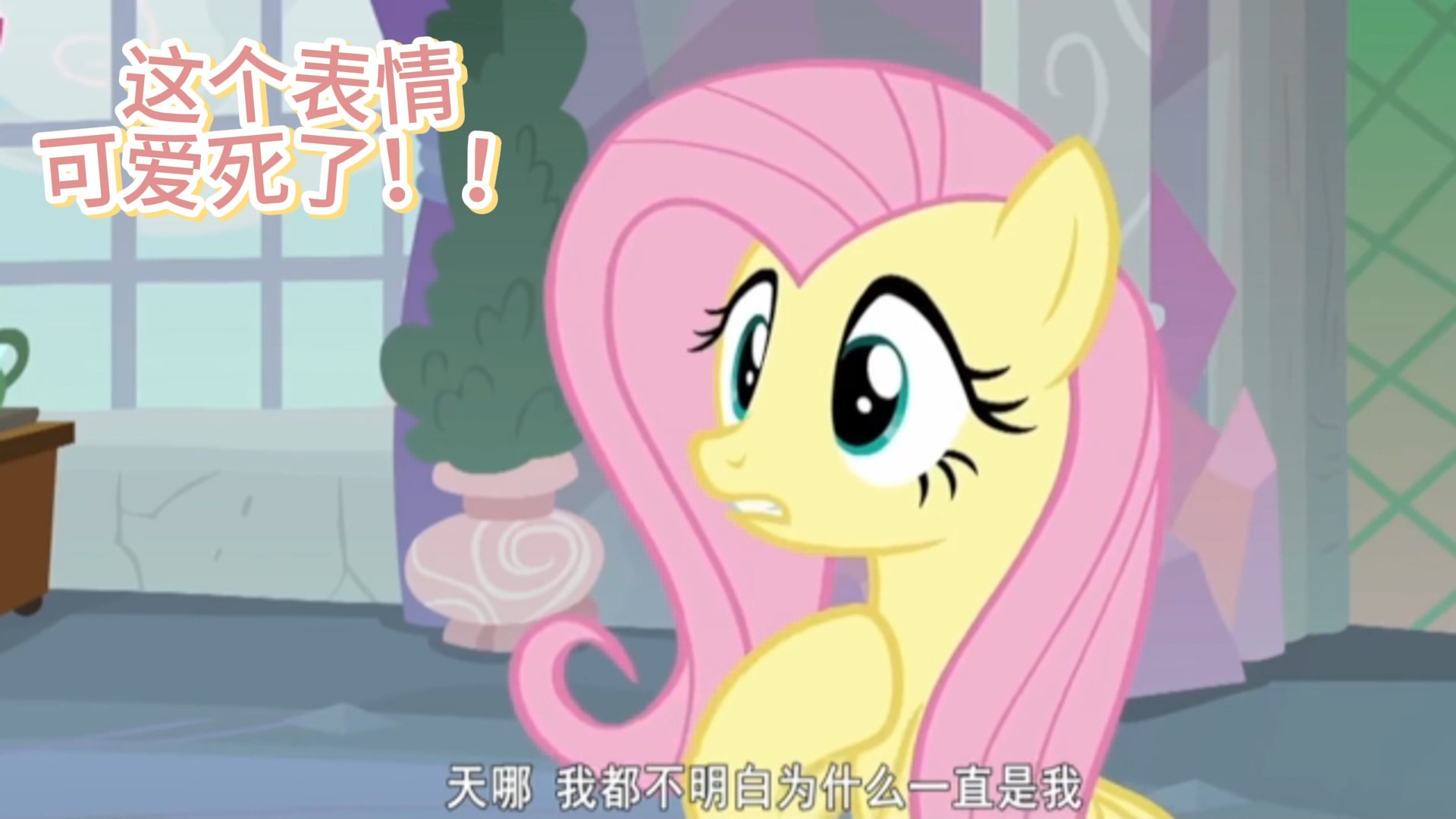 《小马宝莉》第八季,全校最受欢迎的柔柔呀