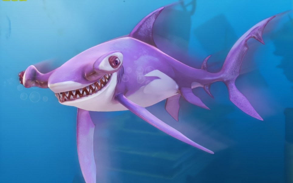 饥饿鲨世界:锤头双髻鲨:令人印象深刻的全能鲨鱼?