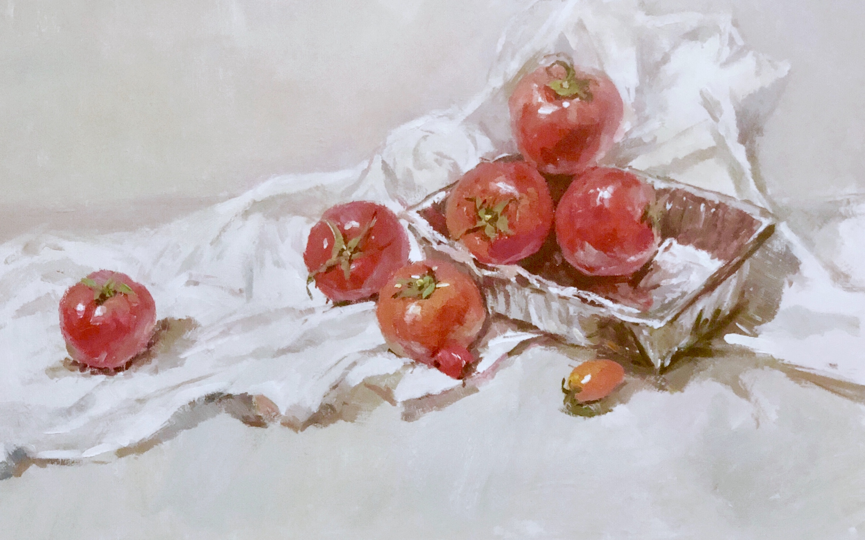 色彩教学锐艺美术色彩果蔬示范番茄完整视频