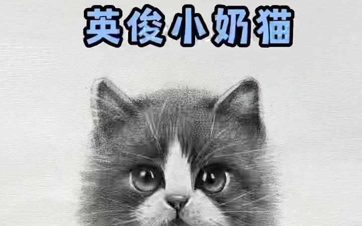 【素描】超详解素描小奶猫 零基础学画画哔哩哔哩bilibili