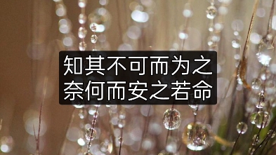 知其不可而为之奈何而安之若命