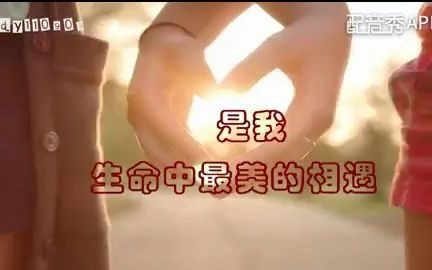 朗诵《你是我最美的相遇》哔哩哔哩bilibili