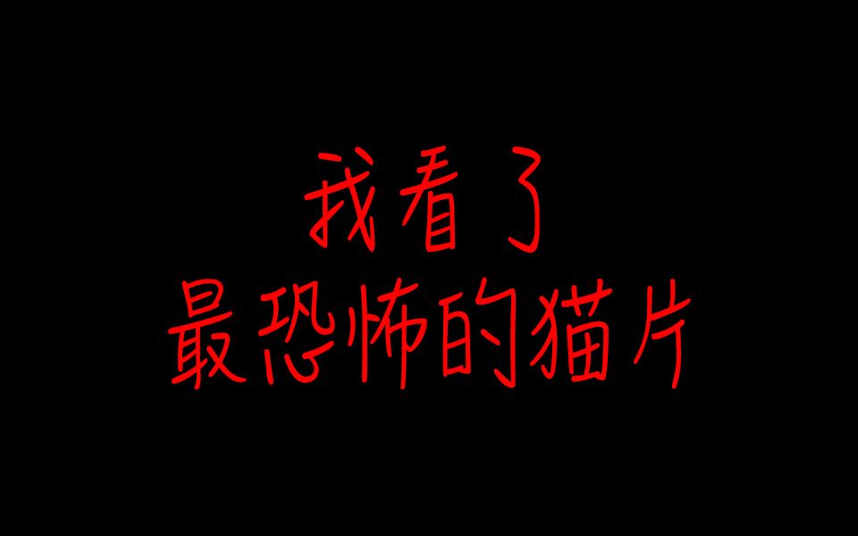 这么恐怖的猫片你看过吗?柯基能有多鬼畜?外国人有多闲?【盘点世界上最没用的网站】哔哩哔哩bilibili