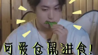 来看小阔卡进食一分钟纯享啦！可爱的小鼠我亲！