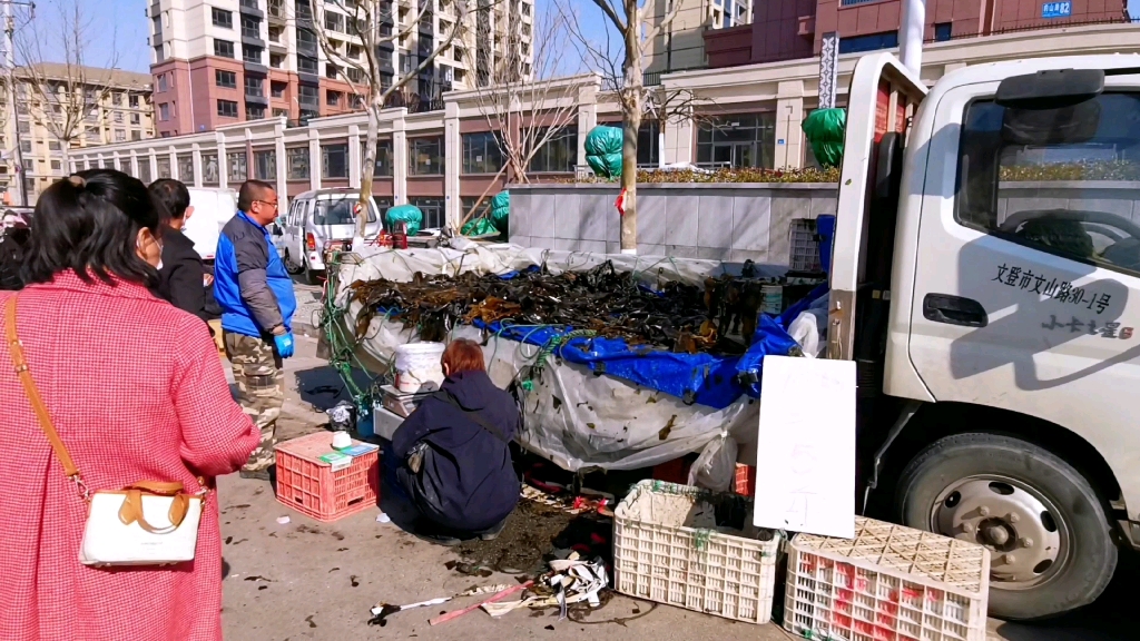 山东威海大集,10块钱买两大兜海鲜,价格便宜到吃惊,太实惠了哔哩哔哩bilibili