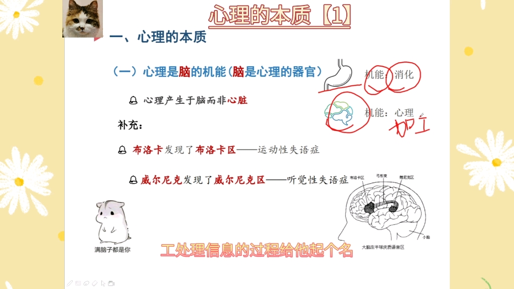 #教师招聘 #教师资格 #普通心理学#心理学概述 心理学的产生与发展 心理的本质(1)哔哩哔哩bilibili