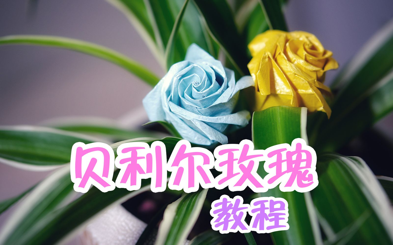 折纸教程来学一朵好看的贝利尔玫瑰吧