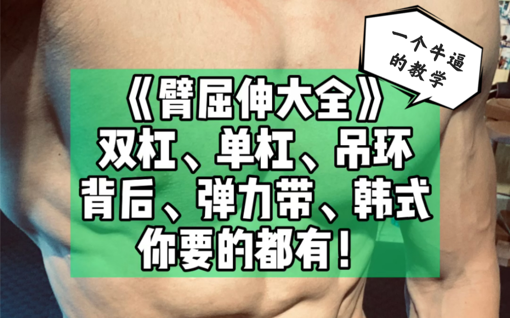 【徒手之王】最详细的臂屈伸训练教学哔哩哔哩bilibili