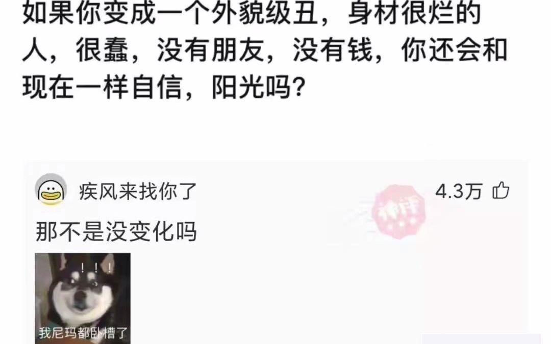 网友的神回复与沙雕图153弹哔哩哔哩bilibili