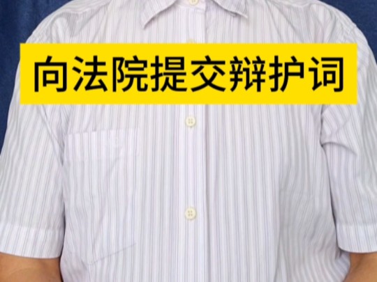 在法庭上口头发表辩护意见后,我都会向法庭提交一份书面的辩护词.哔哩哔哩bilibili